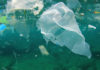 Наночастицы пластика в океане оказались токсичнее, чем думали ученые