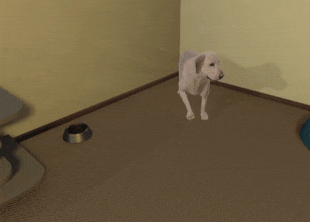 Виртуальный пес научит защищаться от реальных укусов живых собак