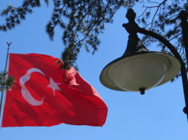 Кыргызстанцы на втором месте по получению разрешений на работу в Турции иностранцами