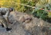 В Чуйской области нашли заржавевшие снаряды (фото)