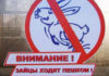 ГП «Кыргыз темир жолу» обвинили в провозе безбилетников. Ущерб – почти 4 млн сомов
