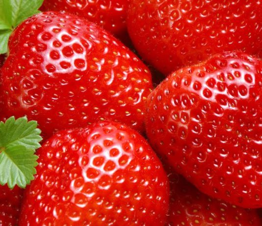 Более четырех тонн свежей клубники из Кыргызстана не пустили в Россию