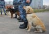 Из-за угроз взрывов из 14 торговых центров Москвы эвакуировано порядка 6 тысяч человек