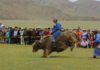 В Монголии появится музей яков