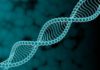 Теория эволюции под угрозой: мутации в ДНК не являются случайностью