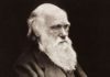 Дарвин без мифологии