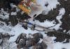 В Таласской области браконьеры отстрелили 13 куропаток. Их оштрафуют на 86 тыс. сомов