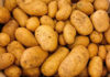 Импорт картофеля в Узбекистан за 11 месяцев превысил показатель за весь 2020 год