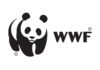 Охранников дикой природы заподозрили в пытках и убийстве браконьеров. Их работу финансирует WWF