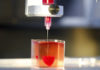 Израильские ученые только что напечатали первое 3D-сердце. Теперь человечество может производить все необходимые органы?
