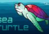 Кампания по перехвату DNS Sea Turtle подрывает доверие к Интернету. Ее организатор – спонсируемая правительством группировка