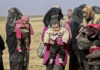 Детей, связанных с  ИГИЛ, удерживают в секретных изоляторах Сирии и Ирака