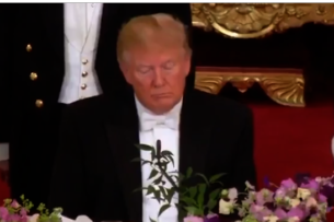 Трамп заснул во время речи Елизаветы II