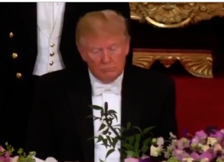 Трамп заснул во время речи Елизаветы II