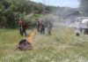 Госагентство охраны окружающей среды Кыргызстана готовится к предотвращению лесных пожаров