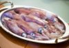 Глаза кальмара и ноги людей формируются благодаря одним и тем же генам