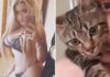 Модель обвинила котенка в утечке «голых» фото