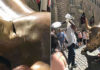 В Нью-Йорке вандал повредил статую быка на Уолл-стрит