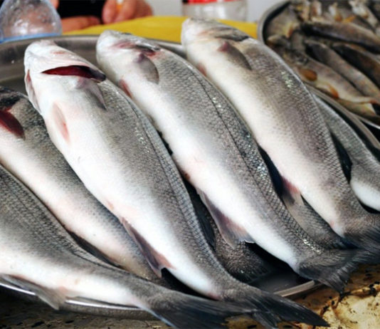 Россия полностью сняла ограничения на ввоз рыбы и молочной продукции из Кыргызстана