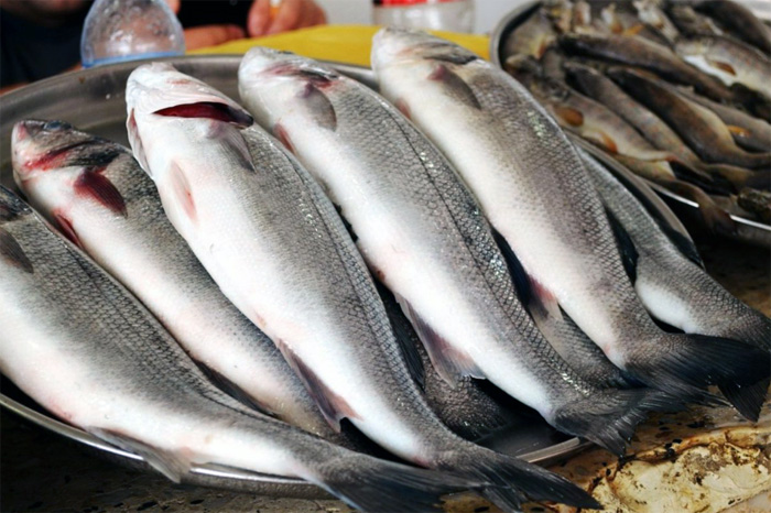 Кыргызстан будет экспортировать рыбную продукцию в Китай — Минсельхоз КР