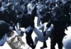 Граждан Казахстана будут наказывать за посещение митингов с детьми