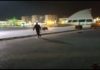 Дикий кабан «прогуливался» по площади первого президента Казахстана (видео)