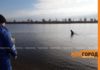 В Казахстане 250 человек ищут пропавших детей