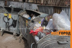 В Казахстане появился сайт для покупки и продажи мусора