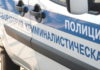 Около трассы «Москва – Санкт-Петербург»  обнаружили тело кыргызстанца с пробитой головой