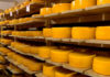 Кусочек Швейцарии: как в Кыргызстане готовят сыр по европейским рецептам