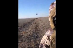 Полицейский вертолёт не смог догнать браконьеров на старых мотоциклах (видео)