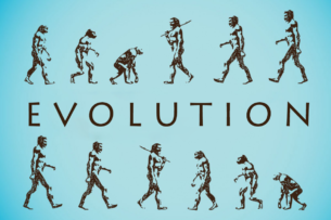 Вечно молодые: эволюция человека закончилась?