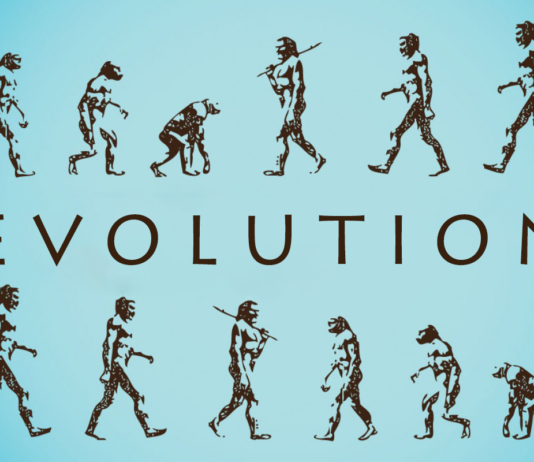 Может ли у эволюции возникнуть «план Б» на случай исчезновения нашего вида