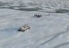 На Сахалине около 600 рыбаков отрезаны от берега на льдине