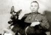 Джульбарс. Пёс, которого на Параде Победы несли на руках на носилках из шинели Сталина