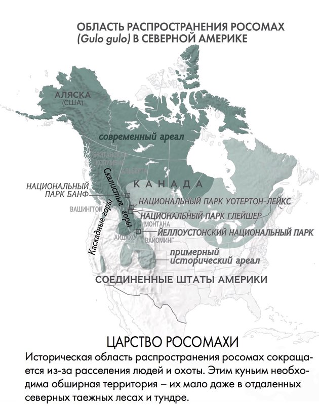 Росомаха ареал обитания.