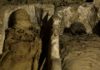 Воры помогли археологам найти хранилище мумий