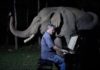 Для старого слона исполнили «Лунную сонату» Бетховена: видео