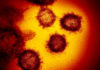 В Казахстане зарегистрирован третий случай заражения коронавирусом