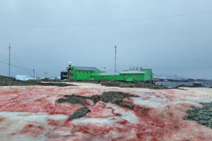 Красный снег на антарктической станции – зловещий знак потепления: фото