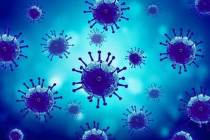 Коронавирус не одинок: открытия вирусологов радикально меняют биологию