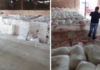 300 тонн муки под видом цемента пытались вывезти из Казахстана в Кыргызстан
