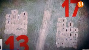 Число могил на снимке с воздуха кладбища для умерших от COVID-19. Кадр из видео.
