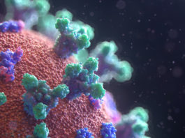 В Китае опровергли прежнюю версию происхождения коронавируса