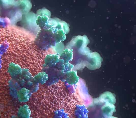 Ашхабад: Клиники перепрофилируют для приема пациентов с пневмонией