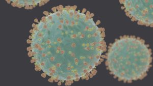 SARS-CoV-2 может оказаться гибридом двух разных вирусов