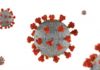 Разведка США допускает, что коронавирус начал распространяться из лаборатории в Китае