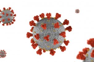 ВОЗ: новый штамм коронавируса выявили в Нидерландах, Дании и Австралии