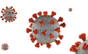 В Кыргызстане за сутки выявлено 275 случаев заражения коронавирусом. Умерли еще 4 человека В Кыргызстане за сутки выявлено 275 случаев заражения коронавирусом. Умерли еще 4 человека