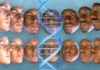 Пять расовых стереотипов, которые развенчала наука